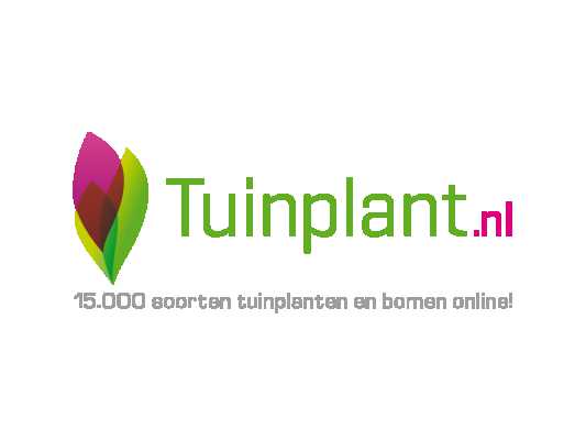 planten-online