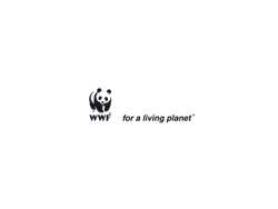 Wwf
